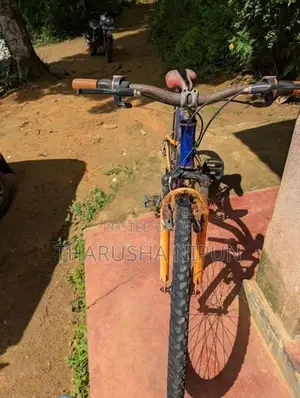 Mountain Bicycle