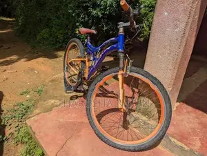 Mountain Bicycle