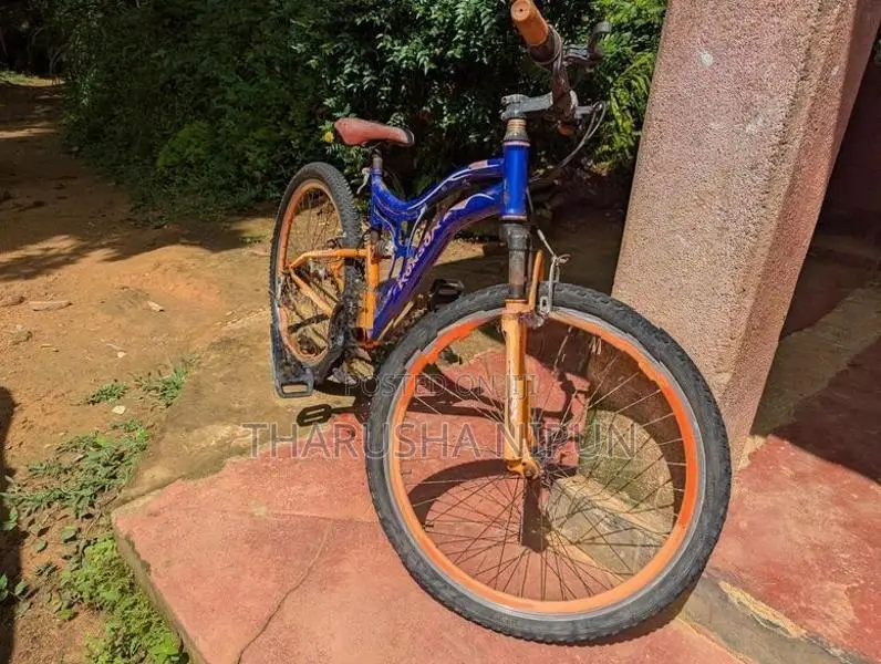 Mountain Bicycle