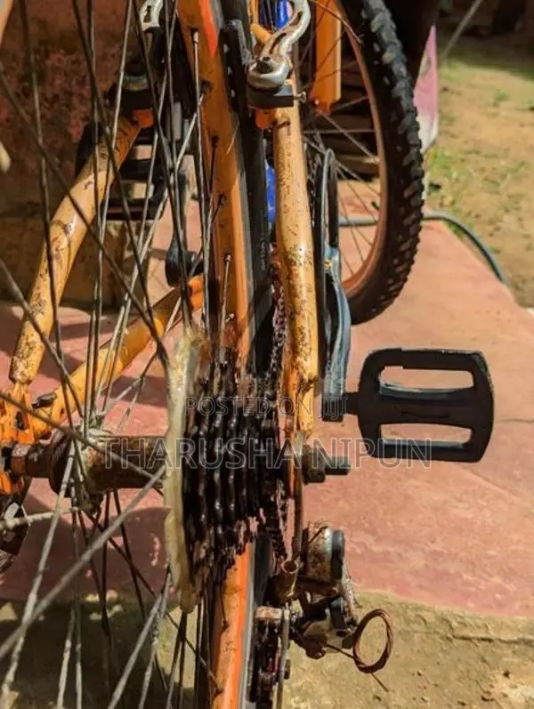 Mountain Bicycle