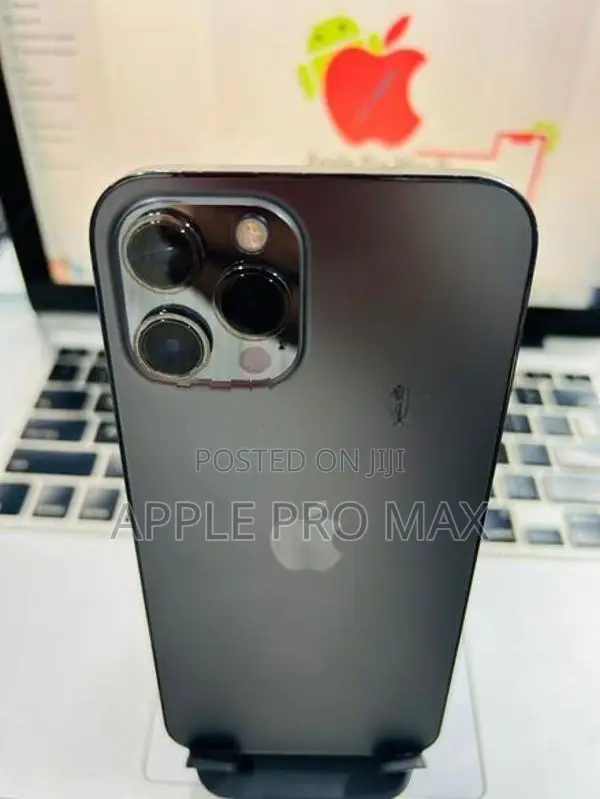 Apple iPhone 12 Pro Max 256GB (Used)