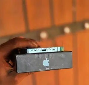 Apple iPhone 12 Pro Max (Used)