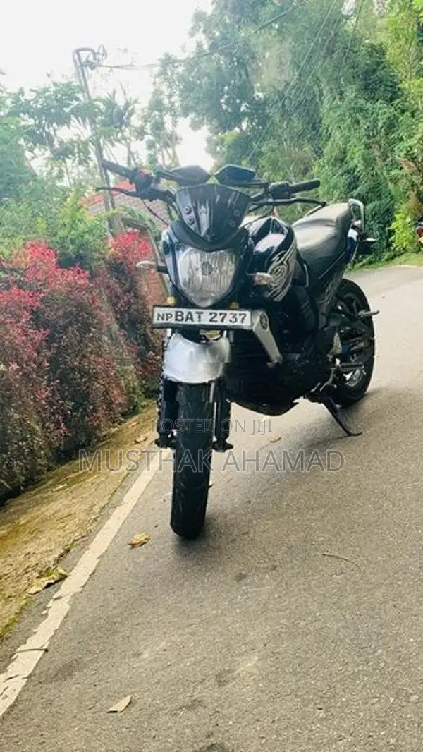 Yamaha FZ S V1 2013
