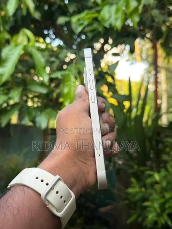 Apple iPhone 14 (Brand New)