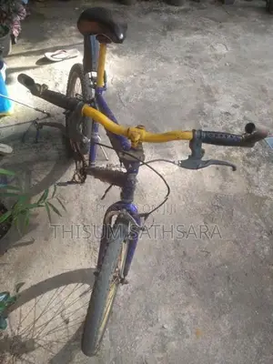 Bicycle Size 20*