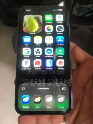 Apple iPhone 13 Pro Max (Used)