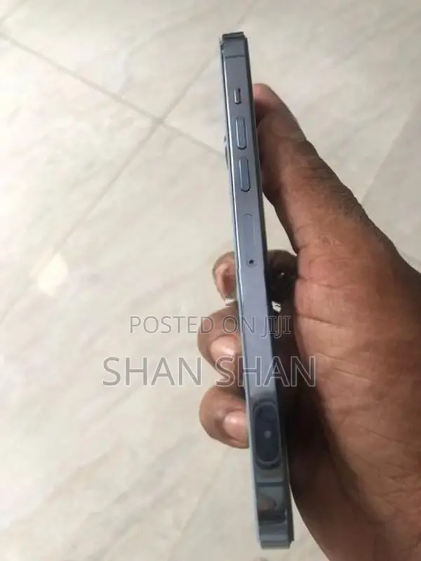 Apple iPhone 13 Pro Max (Used)
