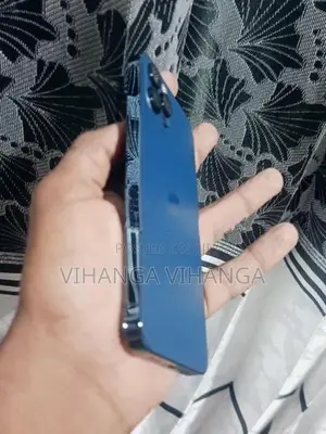 Apple iPhone 12 Pro (Used)