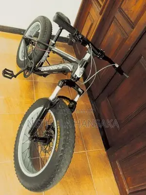 Benshi Fat Tire Bicycle