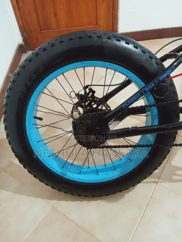 Benshi Fat Tire Bicycle