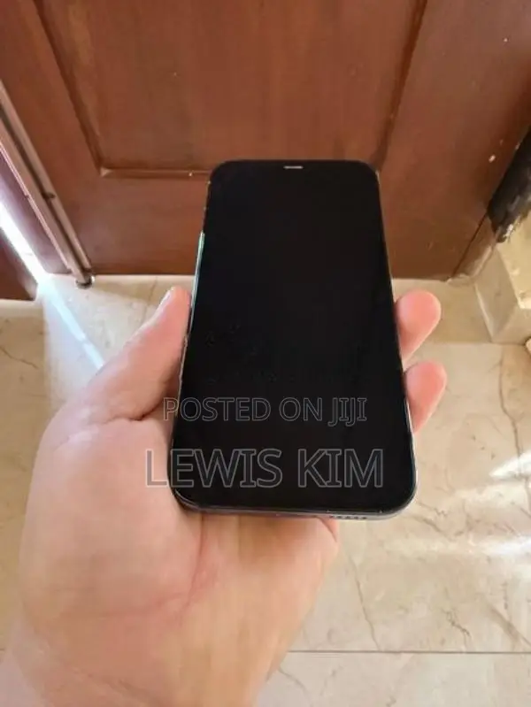 Apple iPhone 12 Pro (Used)