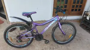 Gear Tomahawk Bike