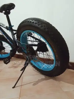 Benshi Fat Tire Bicycle
