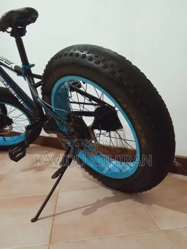 Benshi Fat Tire Bicycle