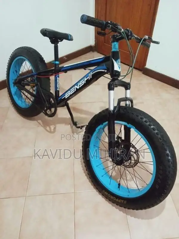 Benshi Fat Tire Bicycle