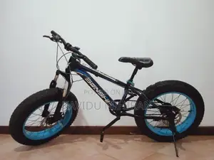 Benshi Fat Tire Bicycle