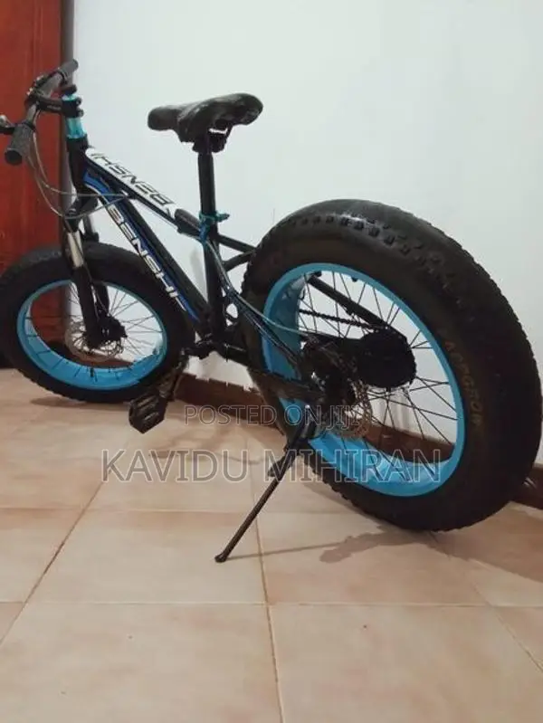 Benshi Fat Tire Bicycle