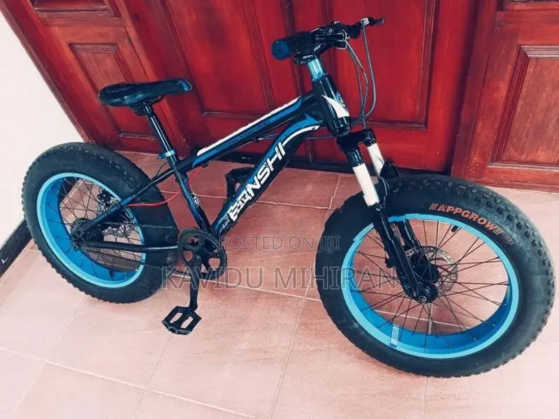 Benshi Fat Tire Bicycle