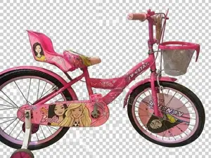 Used Kids Bicycle