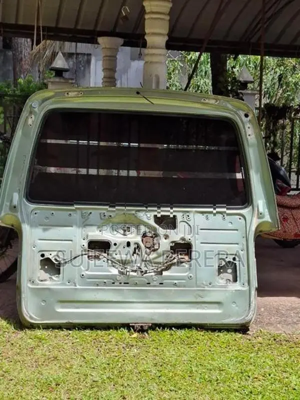 Dolphin Van Rear Door