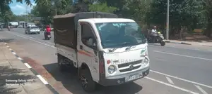 Tata Dimo Batta 2012
