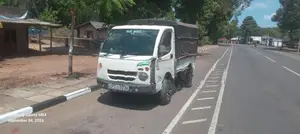 Tata Dimo Batta 2012