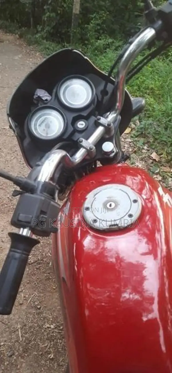 Bajaj Platina 100 2013