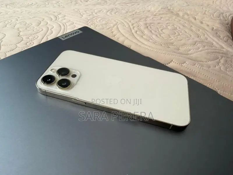 Apple iPhone 13 Pro Max (Used)