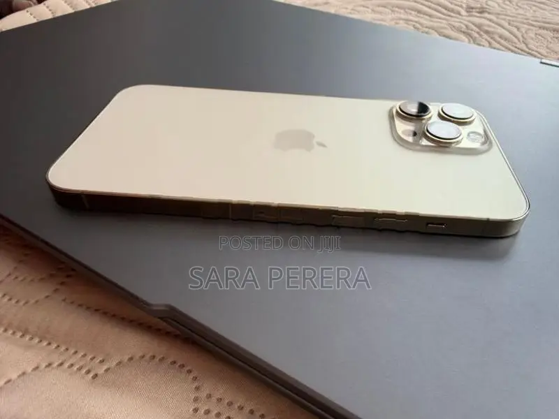 Apple iPhone 13 Pro Max (Used)