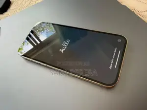 Apple iPhone 13 Pro Max (Used)