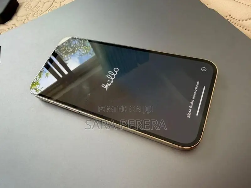 Apple iPhone 13 Pro Max (Used)