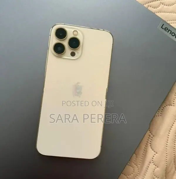 Apple iPhone 13 Pro Max (Used)