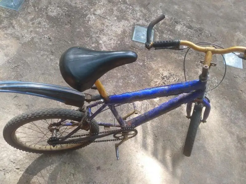 Bicycle Size 20*
