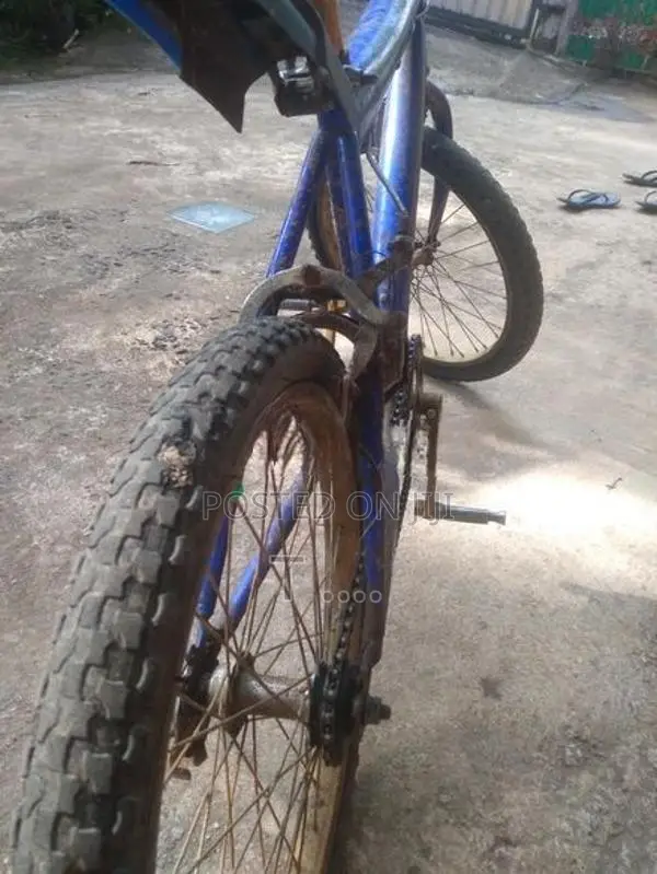 Bicycle Size 20*