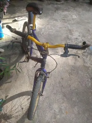 Bicycle Size 20*