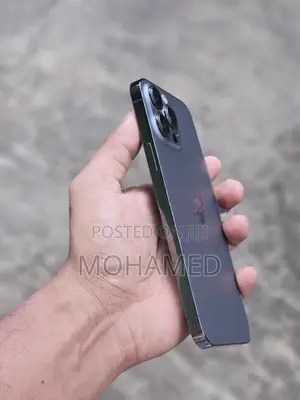 Apple iPhone 13 Pro Max (Used)