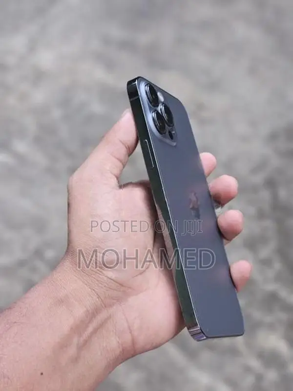 Apple iPhone 13 Pro Max (Used)