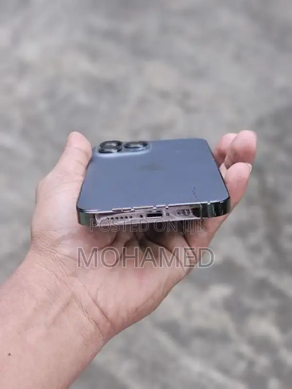 Apple iPhone 13 Pro Max (Used)