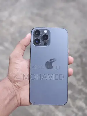 Apple iPhone 13 Pro Max (Used)