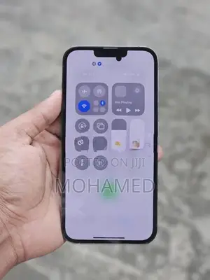 Apple iPhone 13 Pro Max (Used)