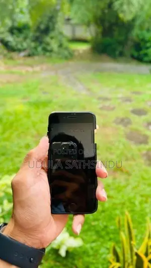 Apple iPhone SE 3 (Used)
