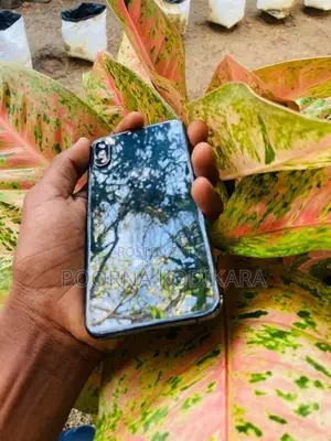 Apple iPhone XS (Used)