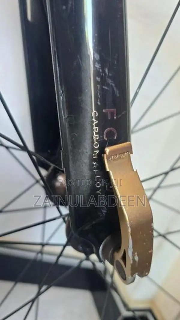 Shimano Giant Road Bicycle