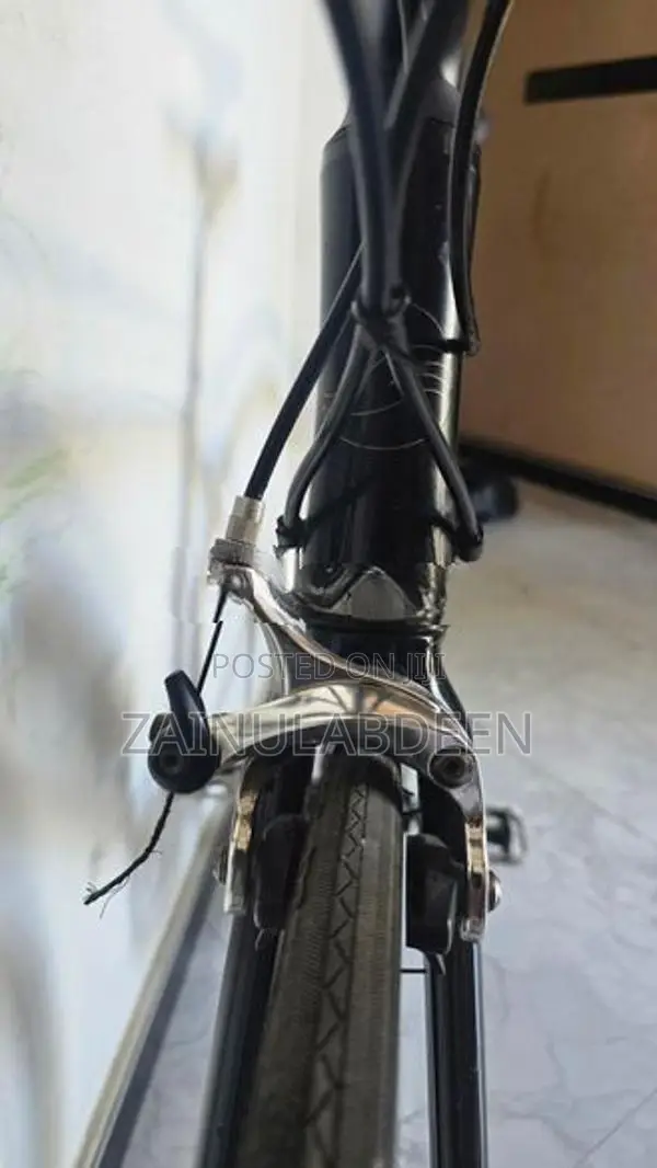 Shimano Giant Road Bicycle