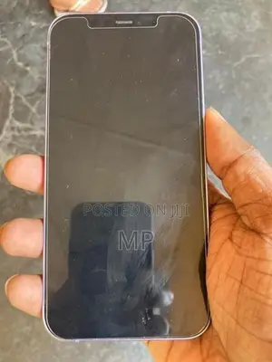 Apple iPhone 12 (Used)