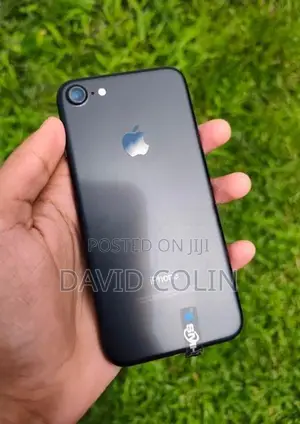 Apple iPhone 7 (Used)