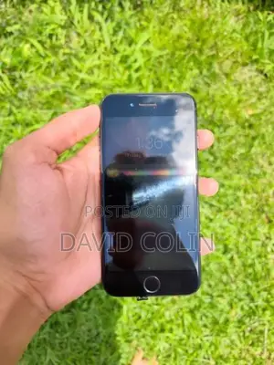 Apple iPhone 7 (Used)