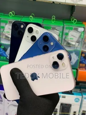 Apple iPhone 13 (Used)