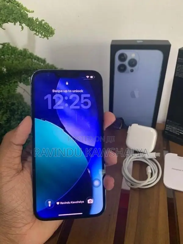 Apple iPhone 13 Pro Max (Used)