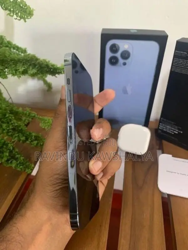 Apple iPhone 13 Pro Max (Used)